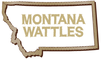 Montana Wattles  |  Chinook, Montana